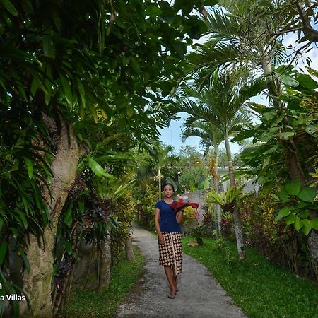 Ubud Syailendra Villas Dış mekan fotoğraf