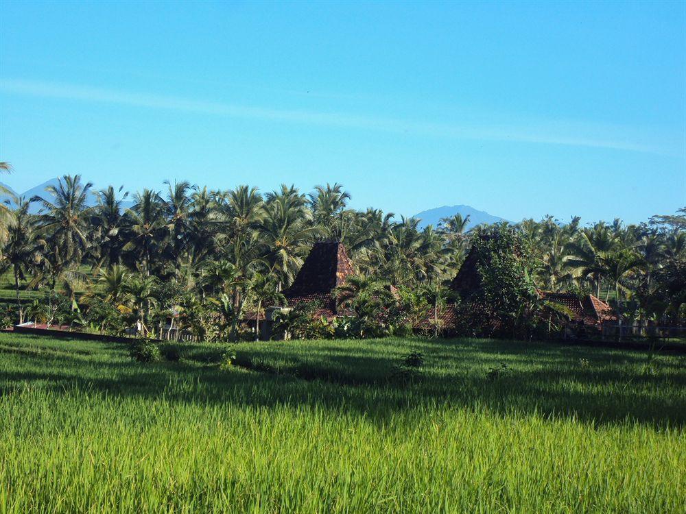 Ubud Syailendra Villas Dış mekan fotoğraf