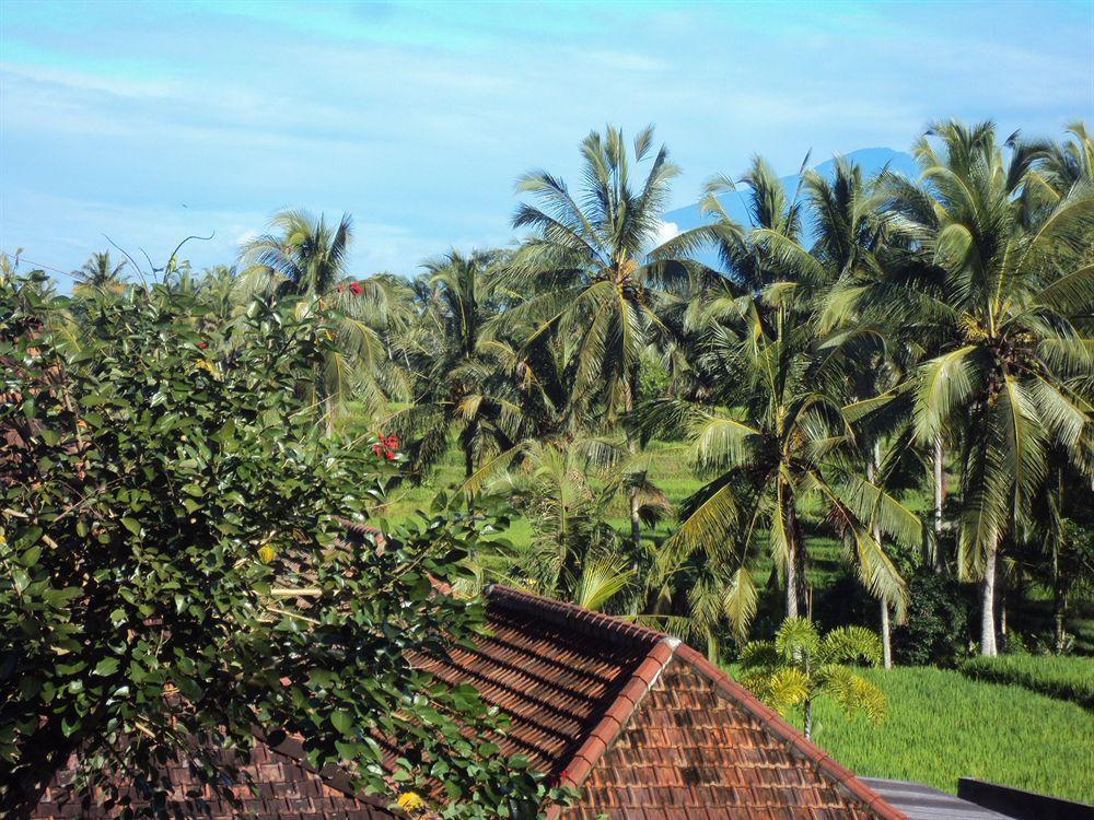 Ubud Syailendra Villas Dış mekan fotoğraf
