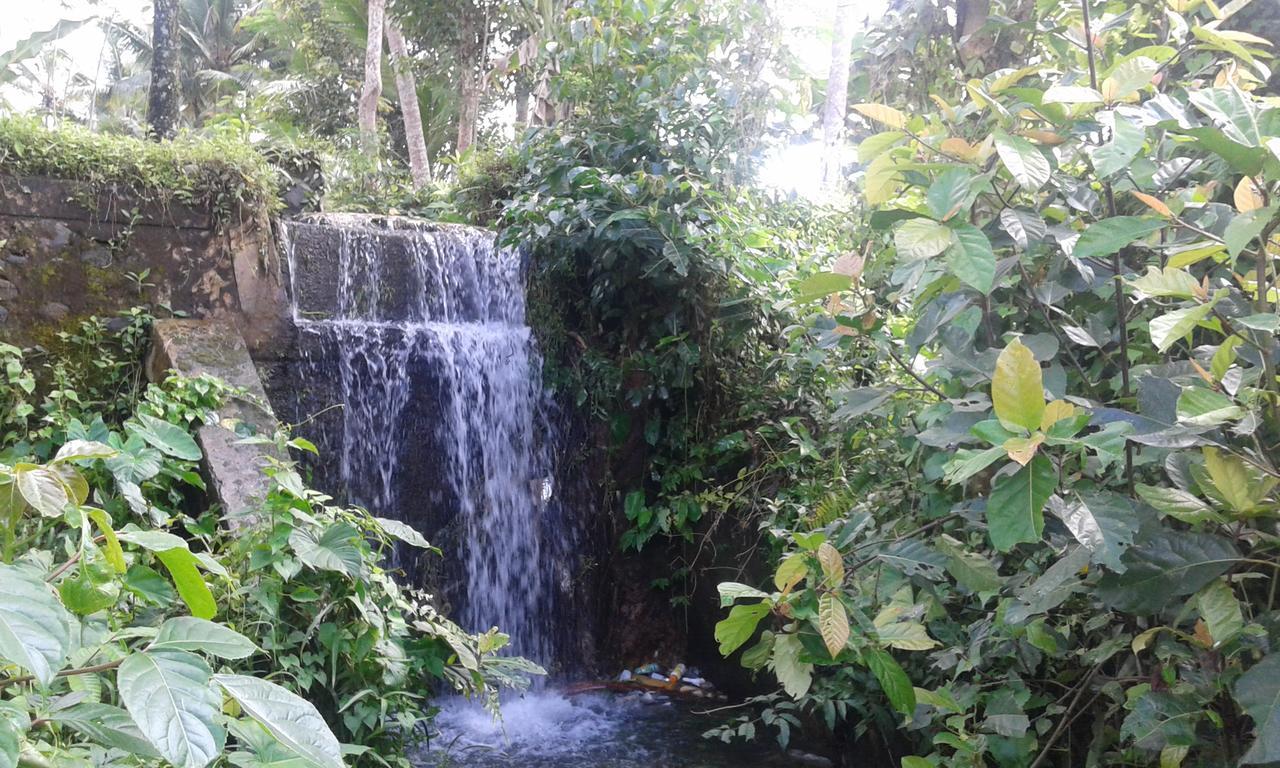 Ubud Syailendra Villas Dış mekan fotoğraf