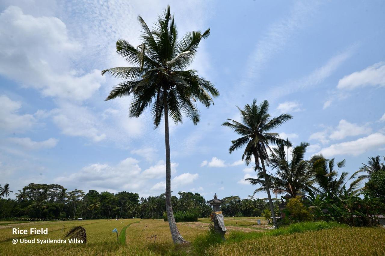 Ubud Syailendra Villas Dış mekan fotoğraf